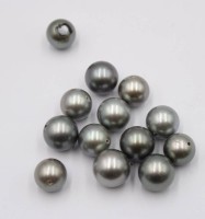 Auktion 364<br>Muschelkern-Perlen, grau. 13 Stück eine defekt, Größte ca. D-1,4cm