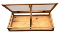Auktion 364<br>gr. Tischvitrine 100x50 cm, H-16 cm