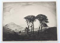 Auktion 364 / Los 5032 <br>wohl William Briscoe, Bäume, Radierung, ungerahmt, BG 21,5 x 29cm