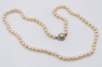 Auktion 365<br>Muschelkern-Perlenkette mit Silberschließe, ca. L-57cm