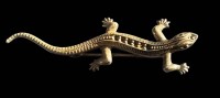 Auktion 365<br>Silber-Eidechse-925-, klare Steine am Rücken fehlen, L-5,5 cm, 2,8 gr