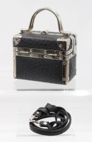 Auktion 365 / Los 13019 <br>kl. Koffer, Straussenleder, gute Erhaltung, ca. H-14cm B-17cm T-11cm