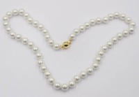 Auktion 365 / Los 1447 <br>Muschelkern-Perlenkette, ca. L-46cm