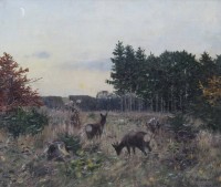 Auktion 365<br>r.u. Z.Sokolowski , Rotwild auf Lichtung, Öl/Leinwand, gerahmt, RG 60 x 67cm