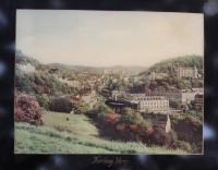 Auktion 367<br>Andenkenbild mit Perlmutt-Einlagen, Karlsbad, &auml;lter, gerahmt, RG 35,5 x 42,5cm, einige verblichene Stellen im schwarzen Bereich