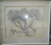 Auktion 368<br>unleserl. sign. (wie vorher) 1979 "B&auml;ume" Zeichnung, ger/Glas, 48x54 cm