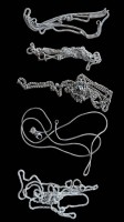 Auktion 369<br>5x div. kurze Silber-Halsketten, hpts. S-925-, L-max. 64 cm, zus. 18,8gr.