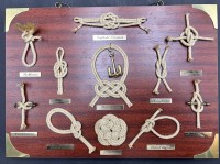 Auktion 369<br>kl. kNOTENBRETT mit Messingschildchen, 25x35 cm