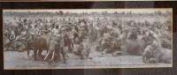 Auktion 369<br>gerahmte Fotografie, Surin Elephant Roundup Thailand, ger./Glas, RG 37 x 76cm