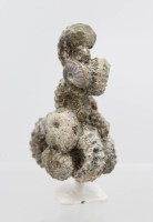 Auktion 369<br>Gruppe versteinerter Ammoniten auf Stand, ca. H-10cm