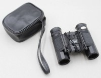 Auktion 370<br>SUNLUX 8x21 FT Fernglas, in Ledertasche, Optik klar