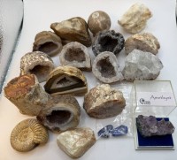 Auktion 370<br>18x div. Mineralien/Halbedelsteine/Versteinerungen, ca. 825 gr