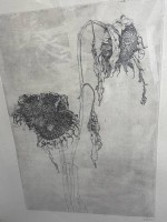 Auktion 370<br>Jan BOON (1882-1975) , 1910 "Verwelkte Sonnenblumen" Radierung, ger/Glas, RG ca  63x48 cm