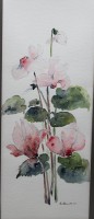 Auktion 371<br>unleserl.signiertes Aquarell, Alpenveilchen, ger./Glas, RG 64,5 x 36,5cm