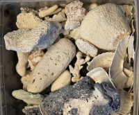 Auktion 371<br>kl. Plastikwanne voller Mineralien etc., ca. 11 kg