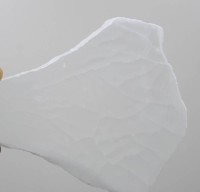 Auktion 371<br>Selenit-Platte, 360gr., L-14cm