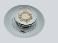 Auktion 371<br>Konfektschale mit 6 Sch&auml;lchen "Rosenthal" Romanze in Gold, B. Winblad, D-19 und 10 cm