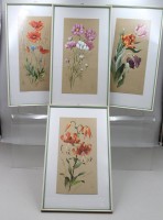 Auktion 372<br>4x Blumen-Aquarelle, M.R.M&uuml;hlbergen, je  ger./Glas, RG 43,5 x 25,5cm