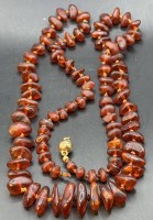 Auktion 373 / Los 1047 <br>lange Bernstein-Halskette, Silberschliesse-925- "Langes-Austria", an einer Seite Kette gel&ouml;st, L-70 cm