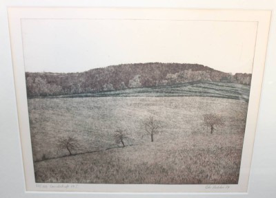 Auktion 373<br>Redeker, Peter (1942 - 2022), Landschaft  I, Farbradierung, gerahmt/Glas, Versand ohne Rahmen !, RG 75,5 x 85,5cm [1]