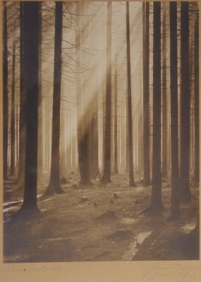 Auktion 374<br>Künstlerfoto, betitelt 