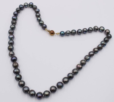 Auktion 374<br>elegante Tahiti-Perlenkette mit Goldfarbener Schließe . [1]