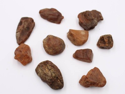 Auktion 374<br>ca. 81gr. Natur-Bernsteine [1]