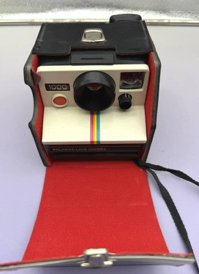 Auktion 374<br>Polaroid Land Camera 1000 in orig. Etui mit Blitze, gut erhalten [1]