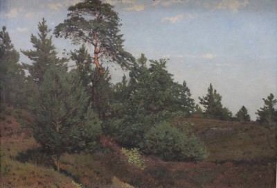 Auktion 375<br>anonyme Heidelandschaft, Öl/Leinwand,  gerahmt, RG 49  x 66cm [1]