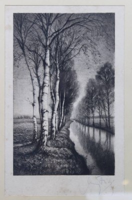 Auktion 375<br>Georg FRITZ (1894-1967) , Birke am Bach, Radierung, älter, stockfleckig,  ger./Glas, 35 x 28cm [1]