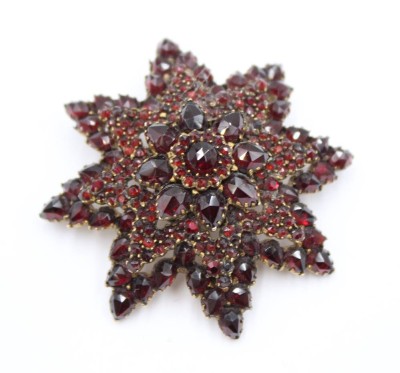 Auktion 375<br>Brosche, Granatstern, Silber gepr., gute Erhaltung, ca. D-4,5cm [1]