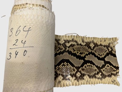 Auktion 375<br>4 Rollen Schlangenleder, gut erhalten, aus den 60-er Jahren, gut erhalten [1]