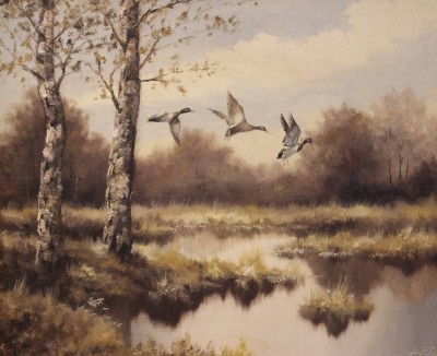 Auktion <br>Peter Zimmermann, Enten im Flug, Öl/Leinwand, gerahmt, RG 52 x 62cm [1]