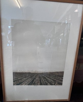 Auktion 364<br>unleserl.signiert (Vrene N...?) Acker betitetle Lithografie Nr.  99/130, ger/Glas, RG 80x56 cm [1]