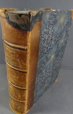 Auktion 369<br>Die Welt wie sie jetzt ist und wie sie sein wird. Eine neue Natur-, Geist- und Lebensphilosophie, Schneider, Karl Camillo, Verlag: Orion Verlag, Wien und Leipzig, 1917. Buchrücken beschädigt, ansonsten gut [1]