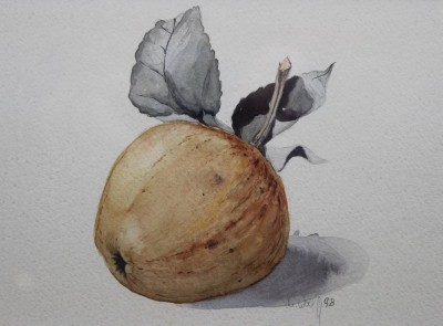 M.Wolf '98 wohl Michael WOLF (1959), Stilleben mit Apfel, Aquarell, gerahmt/Glas, RG 25,7 x 30,7cm [1]
