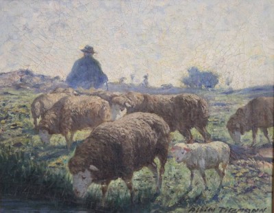 Auktion 358<br>Albin TIPPMANN (1871-1952, Schäfer mit Schafen auf der Weide, Öl/Leinwand, gerahmt, RG 49 x 57cm, leicht restau. bedürftig [1]