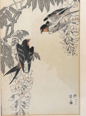 Auktion 359<br>4xjapan. Aquarelle mit Vogeldarstellungen, einzeln gerahmt, RG je 43x31,5 cm [1]