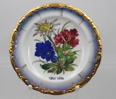 Auktion 359<br>Andenken-Teller, Vohenstrauss, Bad Tölz, ca. D-19cm [1]