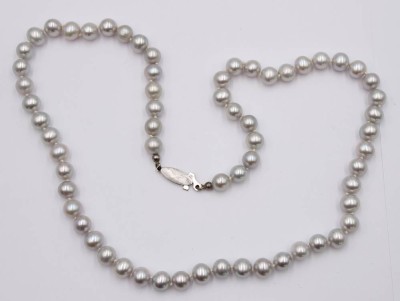 Auktion 360<br>graue Zuchtperlenkette, 18k WG Schließe, ca. L-52cm [1]