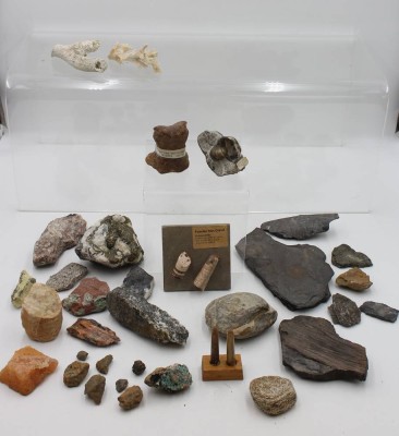 Auktion 360<br>Konvolut div. Versteinerungen und Mineralien, einige beschriftet [1]