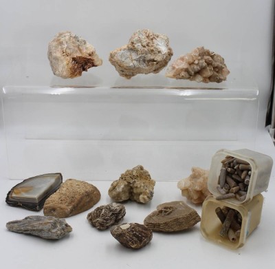 Auktion 360<br>Konvolut div. Versteinerungen u. Mineralien, zus. ca. 14,2KG [1]