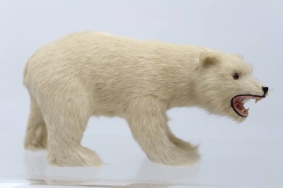 Auktion 361<br>Eisbär mit Echtfell (Robbe), H-12 cm, L-22 cm [1]