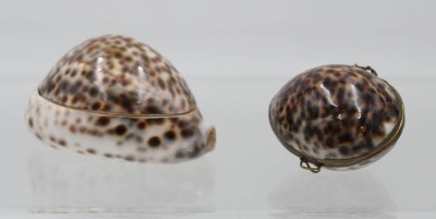Auktion 361<br>2x Muscheldöschen, älter, ca. H-4,5cm L-9cm [1]