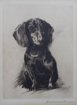 Auktion 361<br> Neumann, Dackelwelpe, Radierung, ger./Glas, RG 25 x 20,5cm [1]