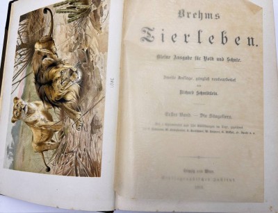 Auktion 361<br>Brehms Tierleben 1893, 1.Band Die Säugetiere, Buchrücken lose [1]