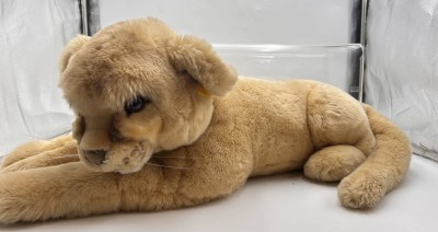 Auktion 362<br>Molly von Steiff 60 cm, Löwenjunges , K+F, Nr. 0382/60, [1]