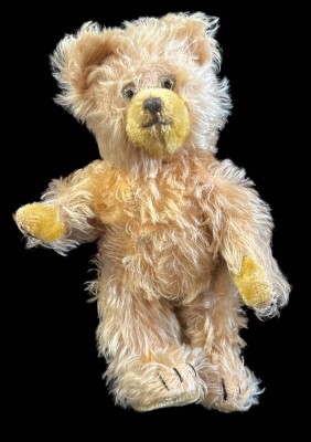 Auktion 362<br>kl. alter Steiff Teddy, blond, hart gestopft, Nasenrücken eingerissen, H-28 cm [1]