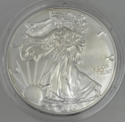 Auktion 363<br>Feinsilber-Dollar USA 2020, 1 Unze, boxed [1]