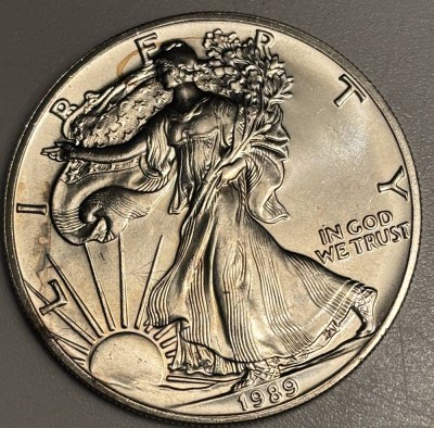 Auktion 363<br>One Dollar 1989, 1 Unze Feinsilber, 31,3 gr., D-4 cm [1]